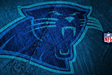 Carolina Panthers Computer Wallpapers, Desktop Backgrounds ...