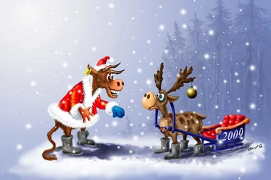 Funny Christmas Wallpapers   Wallpapers Cave