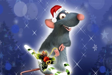 Funny Christmas Pictures And Images