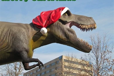 Funny Merry Christmas Wallpapers – TheFunnyPlace