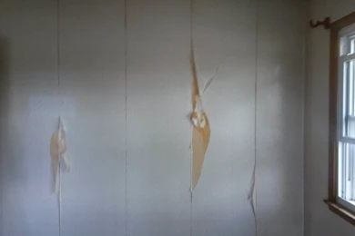 Fabric Softener To Remove Wallpapers   Seeking Our Serendipity