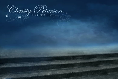 Cinderella Inspired Digital Backgrounds And Overlay Set