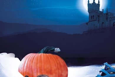 Ping Pong Theatre   Ayrshire Based Theatre Production Company