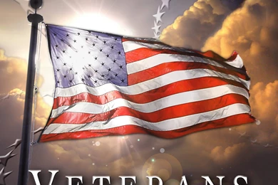 Veterans Day Thank You