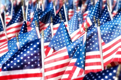 Veterans Day Computer Wallpapers