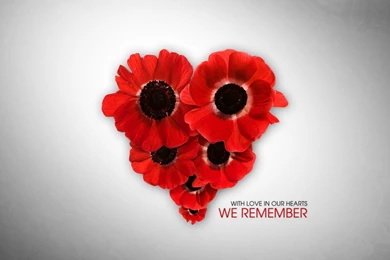 Veterans Day Wallpapers High Resolution 458129