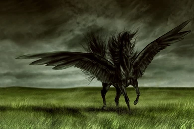 Flying Horse Desktop Wallpapers