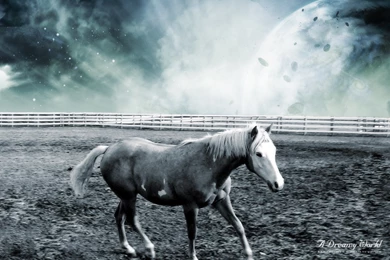 Dreamy Horse World Wallpapers