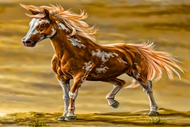 Digital art paint horse hd wallpapers cool desktop background images widescreen.jpg