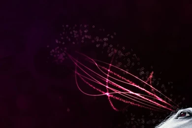 Power, Eye, Horse, Wallpaper, Cool, Walls (