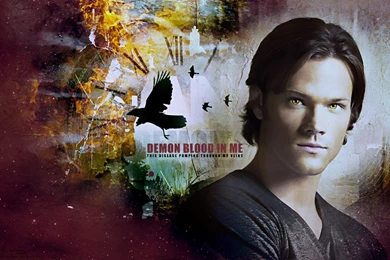 Sam ♥   Sam Winchester Wallpapers (25464363)   Fanpop