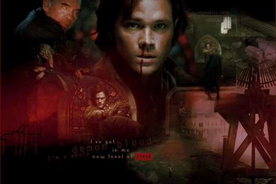 Sammy   Sam Winchester Wallpapers (20912989)   Fanpop
