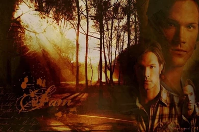 Sam   Sam Winchester Wallpapers (20950838)   Fanpop