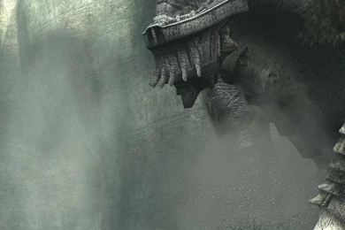 1536x2048 Shadow Of Wallpapers