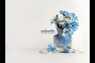 Anberlin  Day Late Friend (lyrics)   YouTube