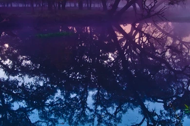 Sebastopol Lagoon Retina iPad   Wallpapers   Wallpapers Style