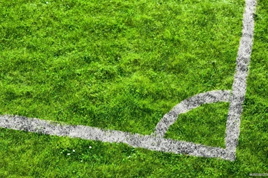Free Wallpapers   Free Nature Wallpapers   Grass Football Pitches ...