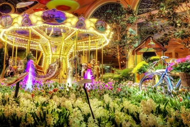 Carousel Gardens >> HD Wallpaper, Get It Now!