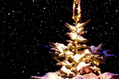 Free Christmas Wallpapers For Iphone 4