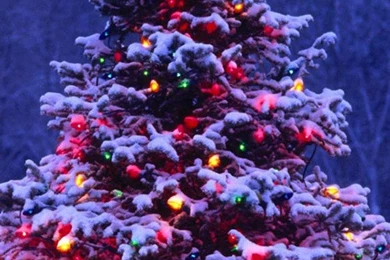 Christmas wallpaper for iphone 6 4.jpg