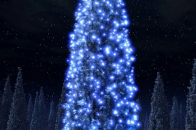 640x960 Christmas Blue Tree Iphone 4 Wallpapers