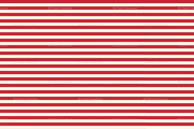 Carousel Border Print 2 Fabric   Tenderlovingclaire   Spoonflower