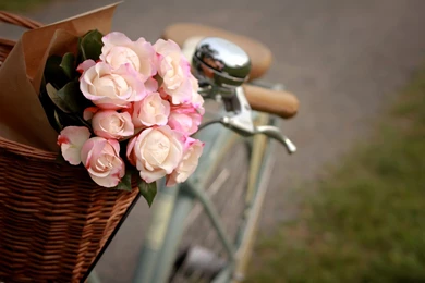 Miscellanea, Bicycle Wheel, Vitage, Bicycle Wallpapers, Focus, Classic