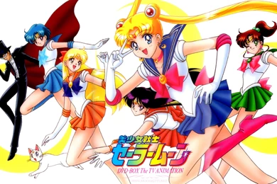 Moonkitty.net: Sailor Moon Wallpapers Widescreen Page 12