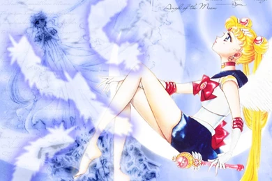 Sailor Moon   Sailor Moon Wallpapers (8935276)   Fanpop