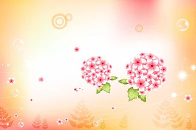 Flower Wallpapers Design HD Wallpapers Desktop Wallpapers ...