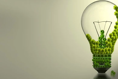 Want To Optimise The Sustainability Of Your Business Event ...