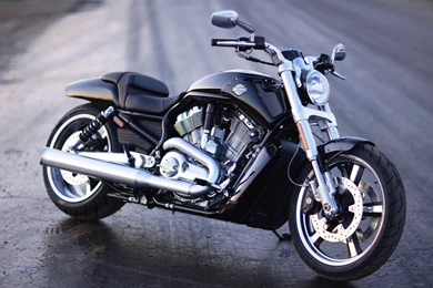 HD V Rod Muscle Harley Davidson Wallpapers Full Size ...