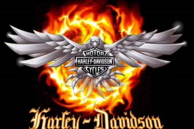 Harley Davidson Wallpapers High Resolution