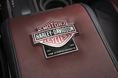 Ford F150 Harley Davidson Edition 2010 Photo 44013 Pictures At ...