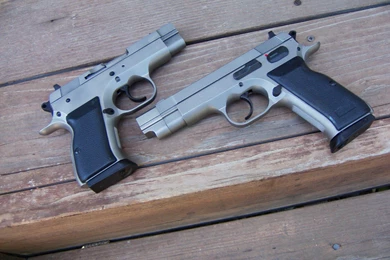 1 Eaa Witness Pistol HD Wallpapers