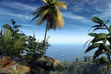 3D Wallpapers Animated   HD Wallpapers Pretty