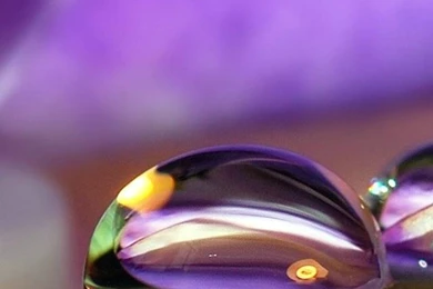 1080x1920 Beautiful Nature Wallpapers HD