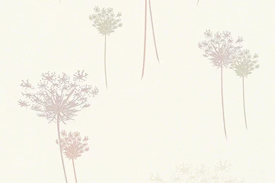 Flower Wallpapers In Beige And Cream Design By BD Wall