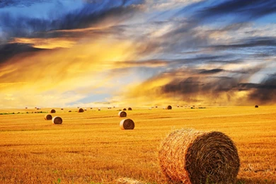 Amazing Moonlight Wallpapers