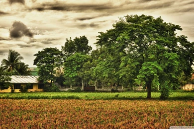 Farms Beautiful Rural Scene Hdr Fields Clouds Farm Trees Nature ...