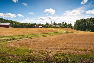 Farms Wallpapers Page 16: Beautiful Farms By Sea Coast Fields ...