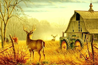 Autumn Scenes Wallpapers   Seasonal   Crazy Frankenstein