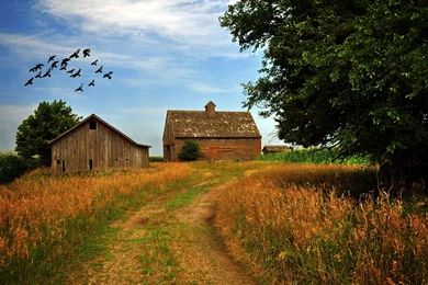 Farm photography hd wallpaper 2560x1600 10222.jpg