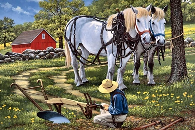 Horses: Hitchin Painting Art Horse Artwork Wide Screen Equine Farm ...