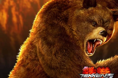 Tekken 5 Computer Wallpapers, Desktop Backgrounds