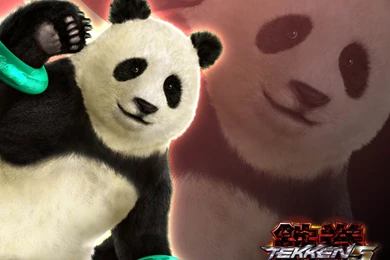 Panda   Tekken 5 Wallpapers (31518996)   Fanpop