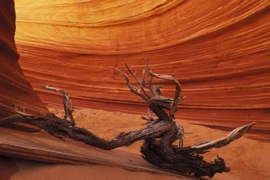 Bizarre Forms Antelope Canyon Wallpapers And Images   Wallpapers ...