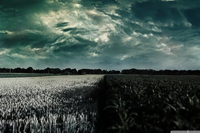 Feeling Lonely HD Desktop Wallpapers : Widescreen : High Definition ...