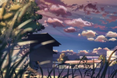 79 5 Centimeters Per Second HD Wallpapers