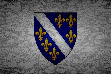 Wallpapers Flag Of Bosnia By SuperSayenZ By SuperSayenZ On DeviantArt